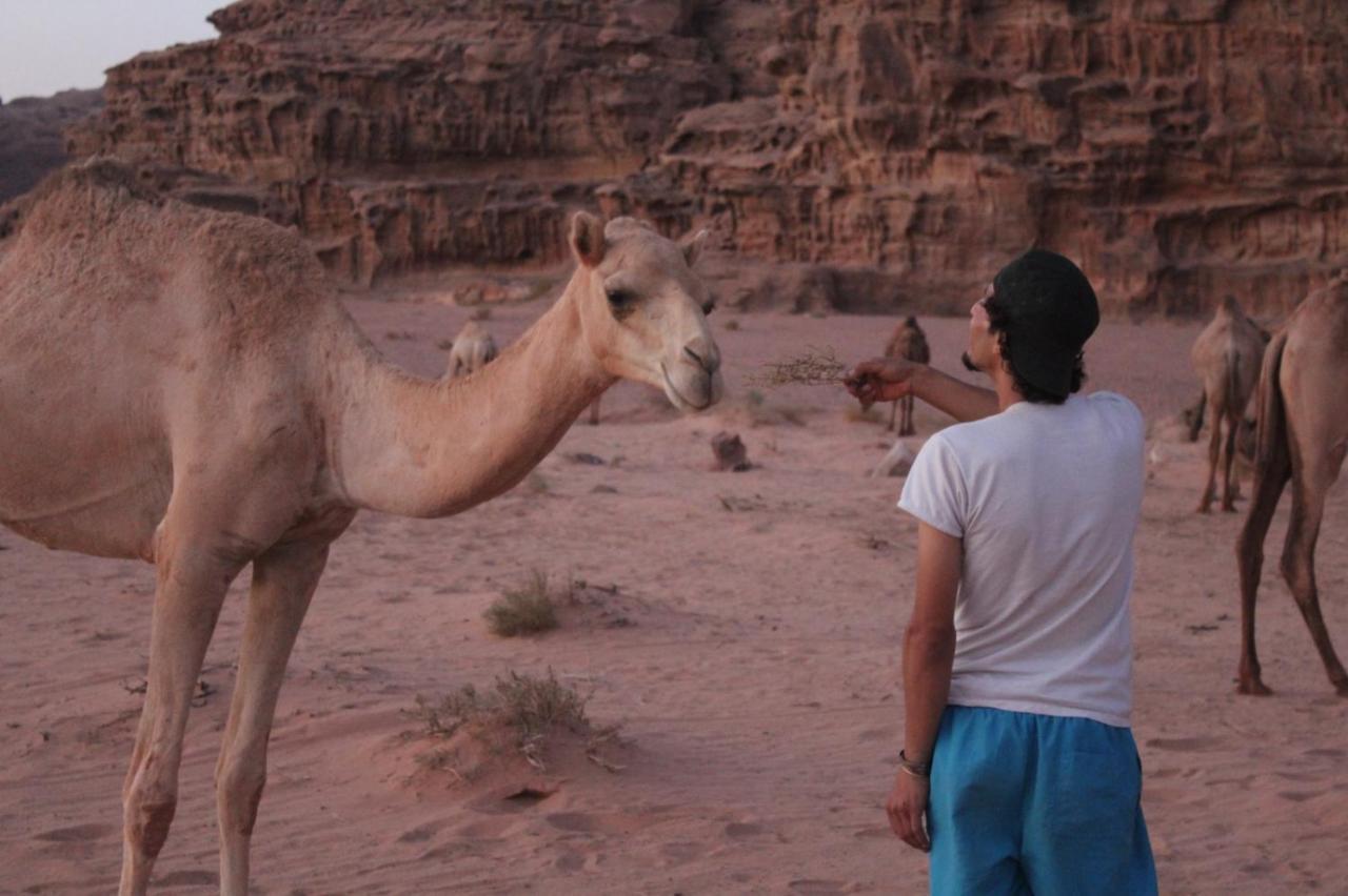 Joy Of Life Bed and Breakfast Wadi Rum Eksteriør billede