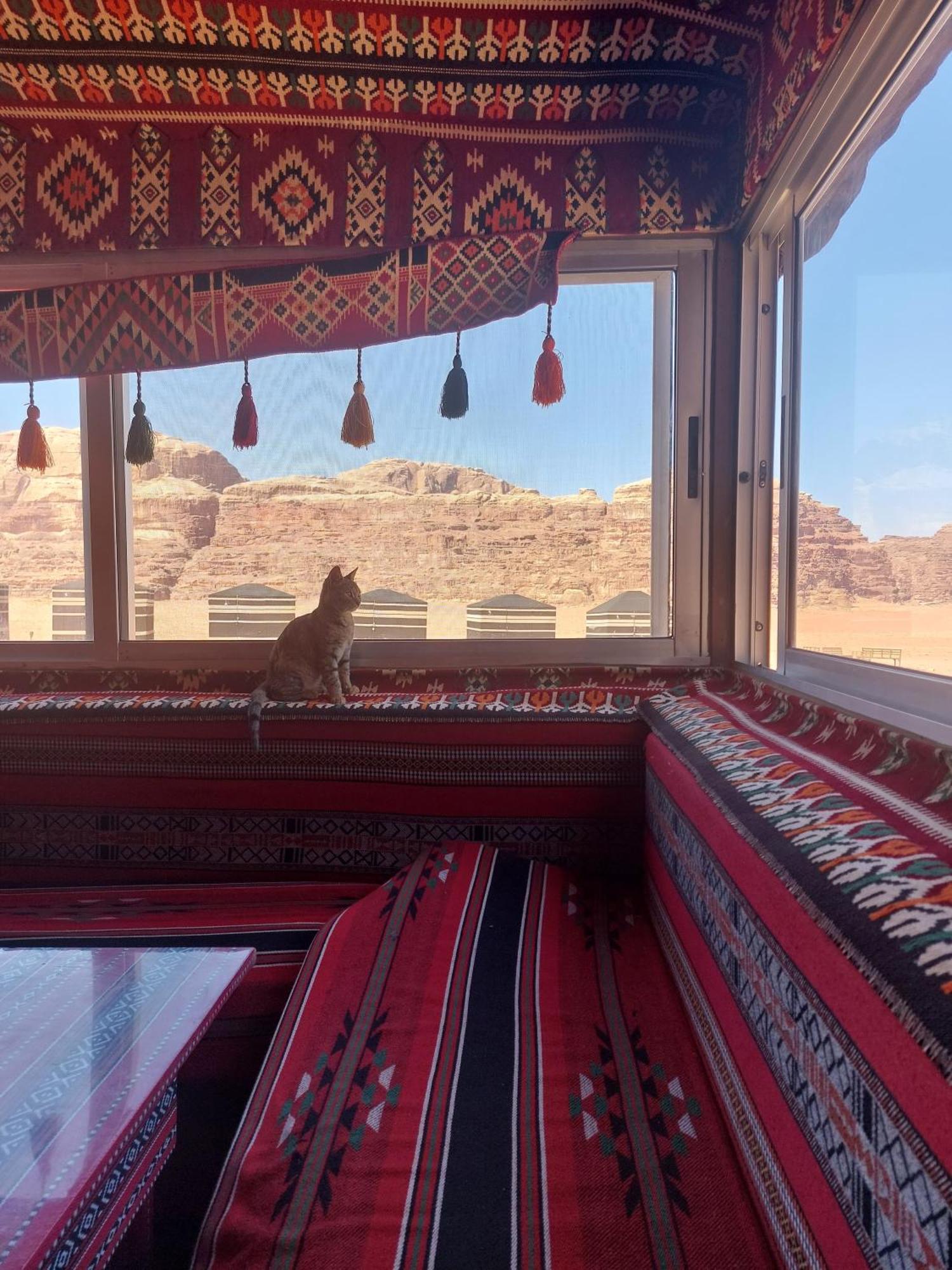 Joy Of Life Bed and Breakfast Wadi Rum Eksteriør billede