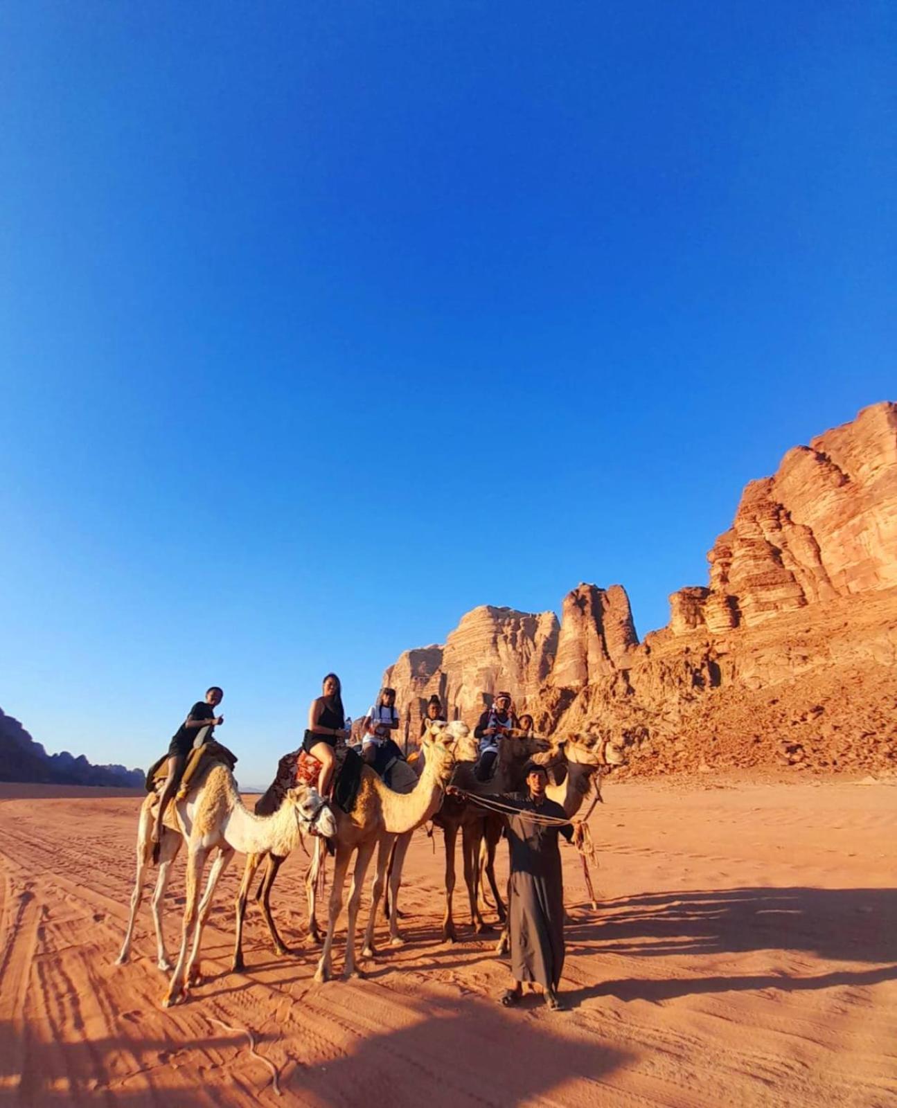 Joy Of Life Bed and Breakfast Wadi Rum Eksteriør billede