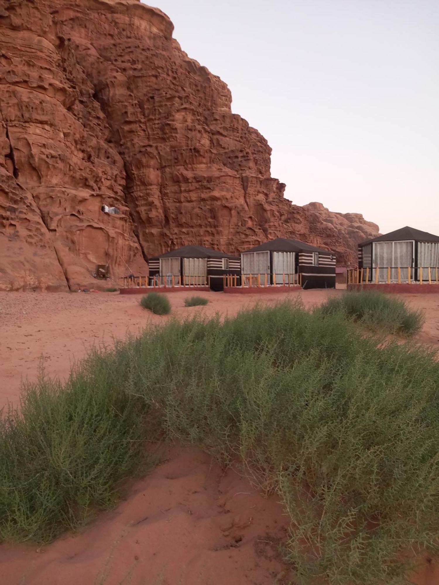 Joy Of Life Bed and Breakfast Wadi Rum Værelse billede